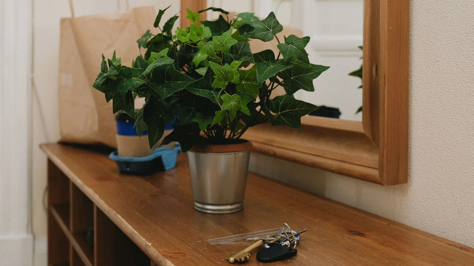 Keys dropped on an entryway shelf beside a plant
